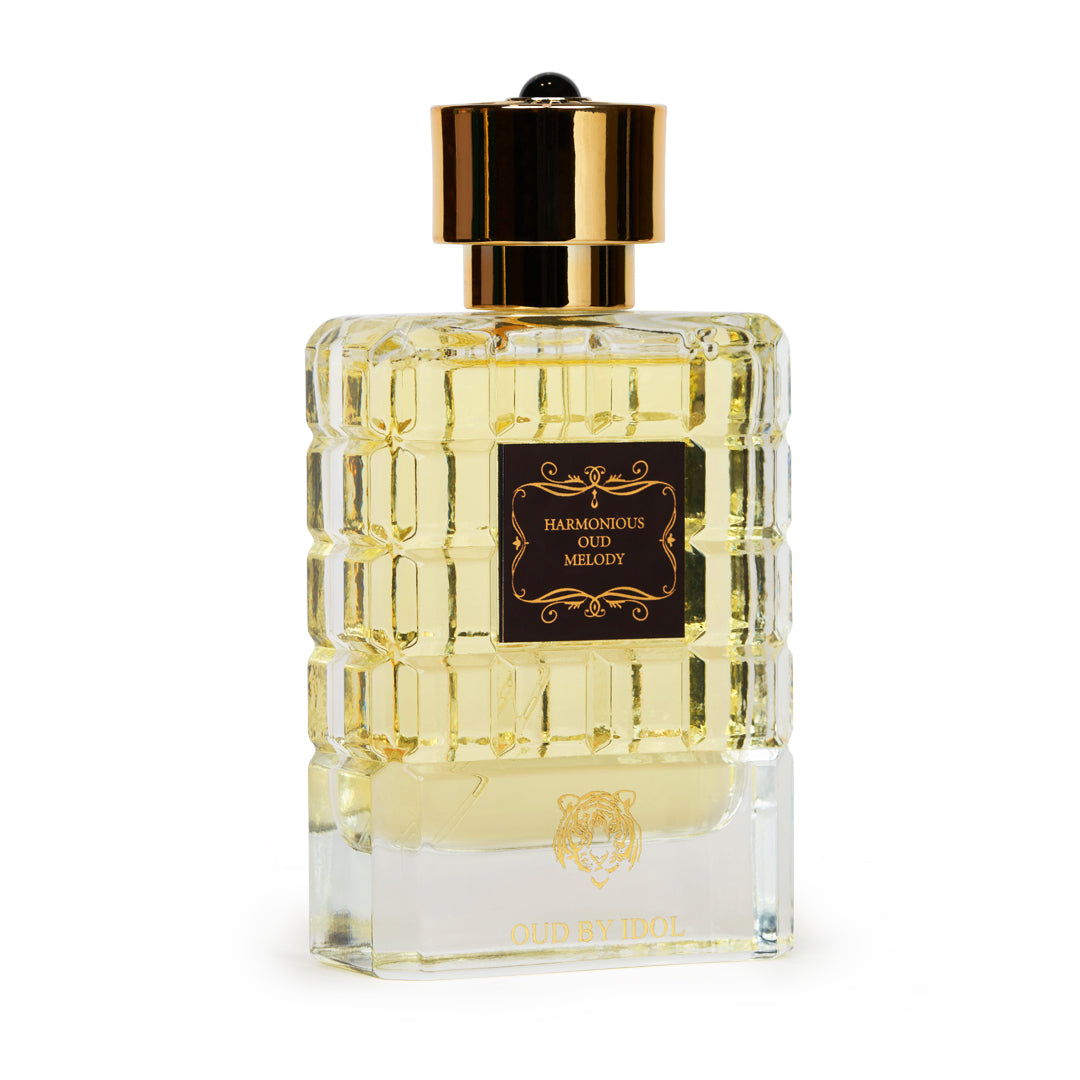 Harmonious Oud Melody